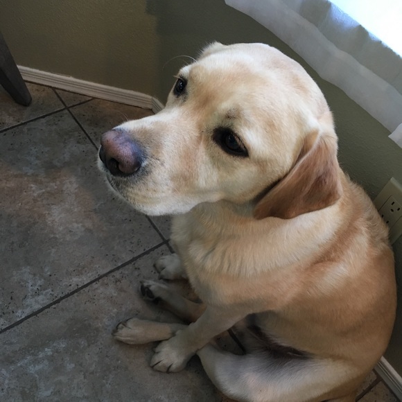 Meet your Posher, Andrew - Picture 1 of 1